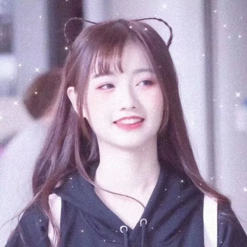 鲨鱼：风暴