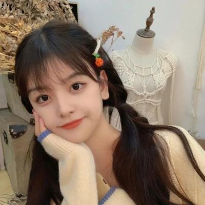 大明星醒目狗